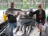 (06/19/2017) - Nice Striped Bass